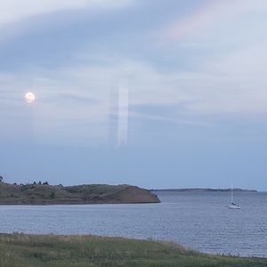 Meet your Posher, Tamie